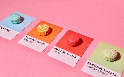 10 outils incontournables pour créer sa palette de couleurs